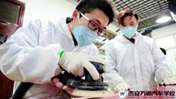 做技術(shù)人才  提升自己的職業(yè)核心競(jìng)爭(zhēng)力
