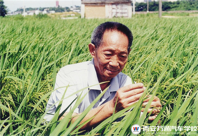 【職素教育】西安萬通國旗下的約定：珍惜糧食，杜絕浪費(fèi)