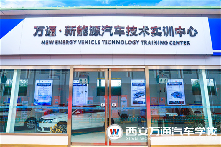 純電/混合動(dòng)力汽車(chē)多久更換電池？