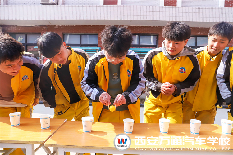 新學期，萬通新生開展素質(zhì)拓展，團結(jié)力量,斗志昂揚